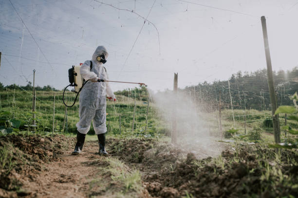 Best Best Pest Control Companies  in Lake Placid, NY