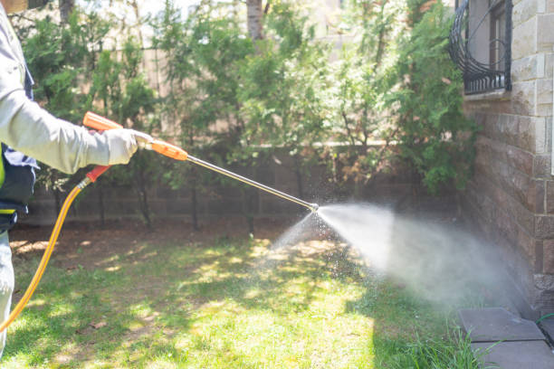 Trusted Lake Placid, NY Pest Control Experts