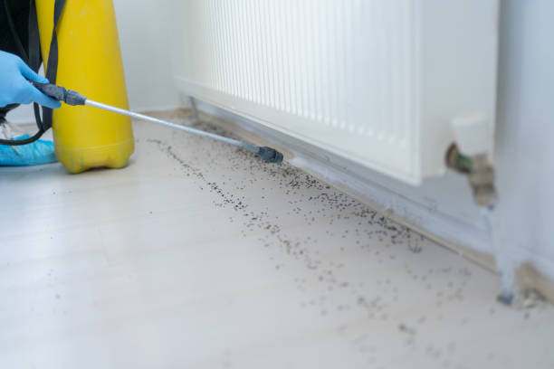 Best Pest Prevention Services  in Lake Placid, NY